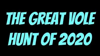 The Great 2020 Vole Hunt