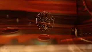 Steinway Crown Jewel - Macassar Ebony