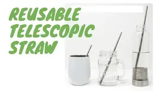 Reusable Telescopic Straw With Case. Go Green! | EcoBravo