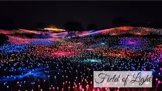Field of Light | Paso Robles | Sensorio