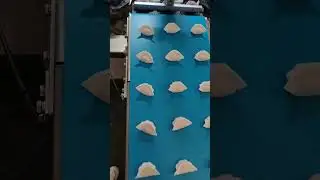 |HargowDumplingMachine|水晶饺子🥟#dumplings #dimsum #frozenfood #dumplingmachine #gyoza #水晶虾饺 #茶楼点心#速冻点心