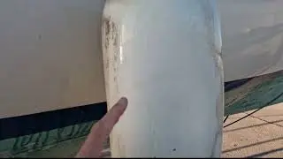 ASTUCE : Déjaunir sa coque Bateau et nettoyer ses pares battages sans efforts