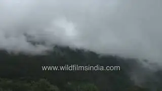 Magical mist movement over Himalayan foothills Uttarakhand