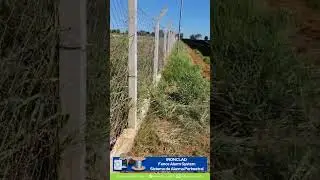 Solar Farm Perimeter Security That Actually Works  #alarmsensor #intrusiondetection