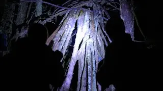 Expedition Bigfoot | S5 E7 | MASSIVE Tree Structure [HD] [2024]