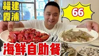 这么多鲜活海鲜的自助餐，在福建霞浦只要66一位，开什么玩笑？