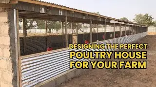 Step-by-Step Guinea Fowl House Construction | Durable & Secure Poultry Shelter