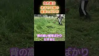 自然農法 休ませる畑の雑草の刈り方　#shorts #雑草 #自然農法