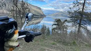 Reflections #shuswaplake #drone