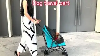 #petstrollers #pettraveltips #petcar #foldingstorage #petcare #pet #cat  #dog #bag #dogtrainer