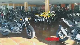 CUAL QUIERES???!!!!! TRAILER CREPITUS MOTOR'S
