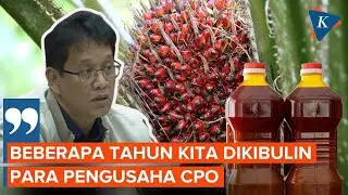 Purbaya Sebut Indonesia Dikibuli Pengusaha CPO, Pemerintah Pegang Bukti Awal