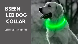 Top Sale LED Dog Collar｜BSEEN TPU Cuttable LED Dog Collar