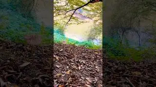 Pure Autumn Nature | Calm & Beautiful Atmosphere