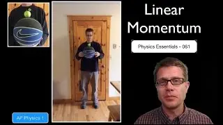 Linear Momentum