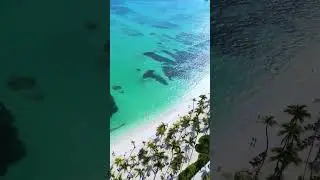 🇩🇴 Flying over Barcelo Bavaro Palace in Punta Cana 😍