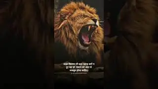 Ak motivation 01