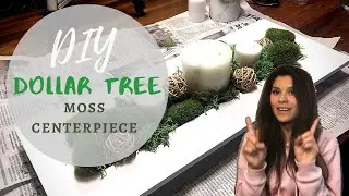 DIY Dollar Tree Moss Centerpiece | Yaya