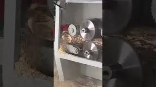 #woodcutting