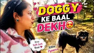 Dogi k baal dekho🫨