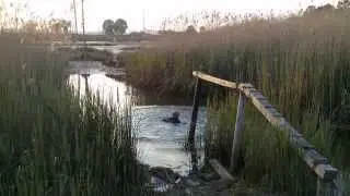 Pista de lodo, prova 1 - Salto para a pista