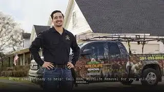 AAAC Wildlife Removal San Antonio - Wildlife Control Shavano Park
