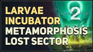 Larvae incubator at the end of the Metamorphosis Lost Sector Destiny 2