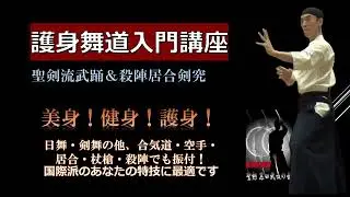 海外で好評！聖剣流武踊aikido＆karate（紹介篇）