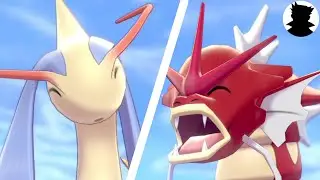 【Pokemon Camp】Magikarp・Gyarados vs Milotic・Feebas＆Shiny Cute
