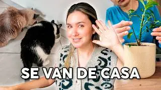 Les tuve que DECIR ADIÓS... se fueron de mi casa 😓
