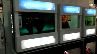 InnoVuiz Transparent LCD - Showcase type