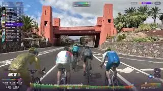THE BIG ROUVY RACE - Los Gigantes | Tenerife 2026 01 04   36/1540