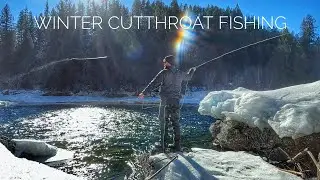 Winter Cutthroat Fly Fishing | 