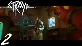Stray (PS5) - Part 2: Momo & The Outsiders