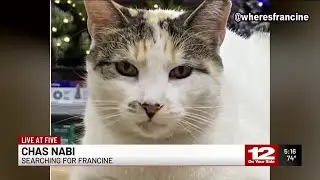 Where's Francine? Beloved Lowe's cat goes missing