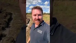 Новейшее водно-болотное угодье Ланкашира &mdash; обзор третьей недели 💦☀️