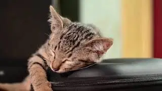 Залипательное видео для релакса и сна #2  | Sticky video for relaxation and sleep #2