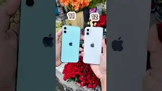 iPhone 11 против iPhone 12 || Тест зума камеры! #шорты