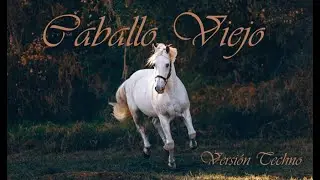 Caballo Viejo. Versi&oacute;n Techno