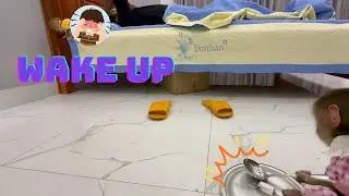 Hungry Baby Monkey&rsquo;s Genius Trick to Wake Dad Up