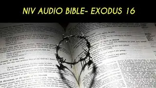 EXODUS 16 NIV AUDIO BIBLE (with text)