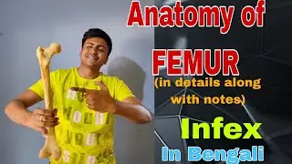 Anatomy of Femur bone in bengali ||#anatomy #1styearmbbslectures