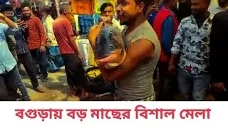 মেলায় বড় মাছের রাজত্ব। FishingArt