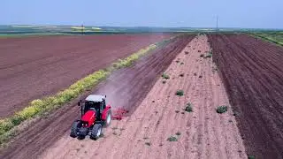 45 rows Spring Tine Cultivator