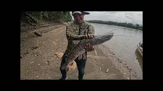 ¡BAGRE GIGANTE CON TARRALLA ! Y LA AGRESIVA PESCA DE PALOMETAS CON ANZUELO