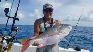 HUGE Mutton Snapper while Fishing for Yellowtail Snapper (Catch and Clean)