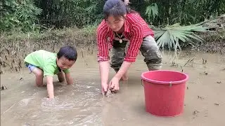How to breed carp and the reproduction process of fish
