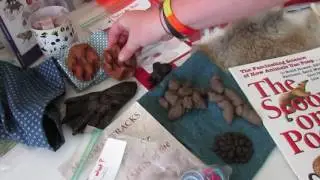 OWCC&rsquo;s Nature Exploration Kits - Mammals
