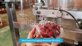 Red Date Packaging Machine DB 420A
