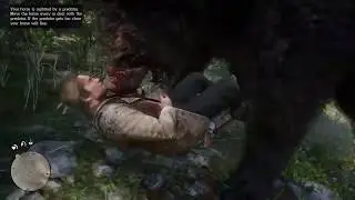 Legendary Bear Encounter #1 - Red Dead Redemption 2